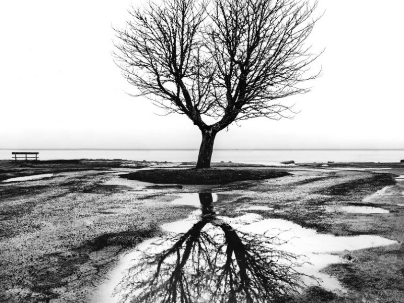 Tirat: Godot'yu Beklerken- Samuel Beckett